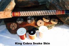 King_Cobra_Skin_001-1