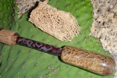 Prickly Pear Cactus Grip