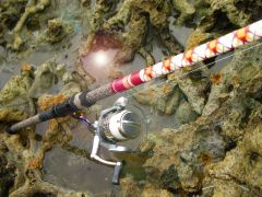Roosterfish Rod in Sunlight