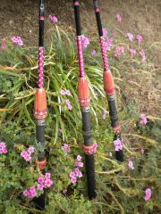 GrandDaughters Fishing Rods