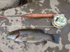 Cts Affinity, small mouth bass