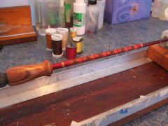 Tulip Rosewood fore grip.