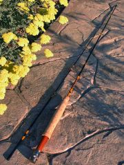 Fly Rod #16 - primary colors