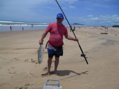 4kg Blue fish (shad in South Africa(