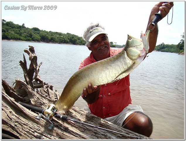Fish AruanÃ£ Rio Juma Amazon