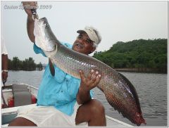 Fish Pirarucu River Juma Amazon