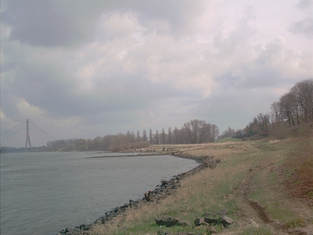 Rhine - River