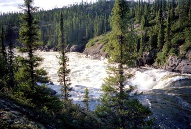 Wilderness River Scenes : Brook Trout River
