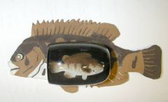 Blackfish Hosel