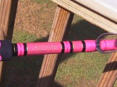 pink stand up rod